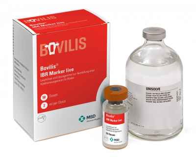 Bovilis IBR Marker
