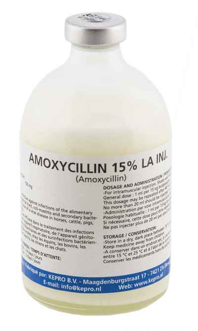 AMOXYCILLIN 15% LA INJ.