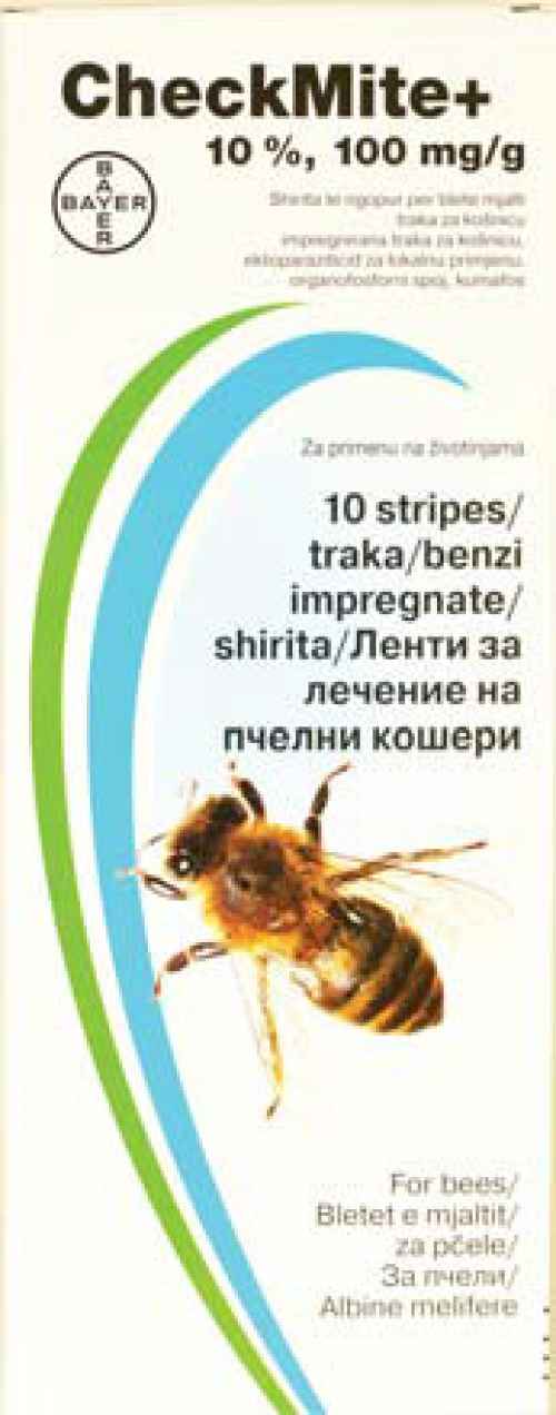 Check Mite + , Чек Майт +-WZWUd.jpg