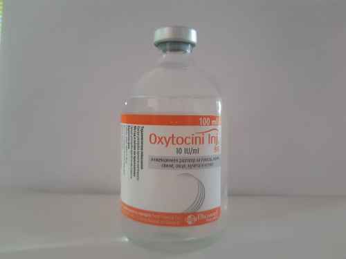 Oxytocini / Окситоцини-a6iXp.jpeg