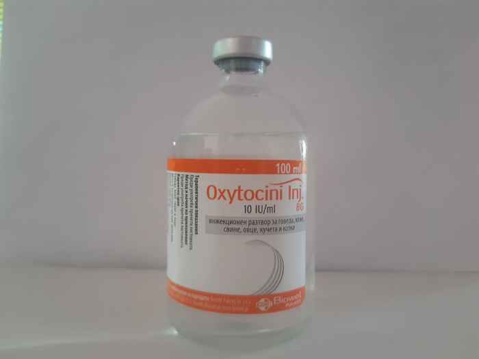 Oxytocini / Окситоцини-a6iXp.jpeg