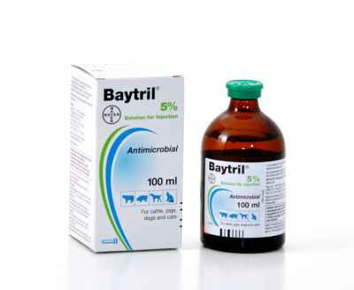 Baytril 5 %, Байтрил 5%