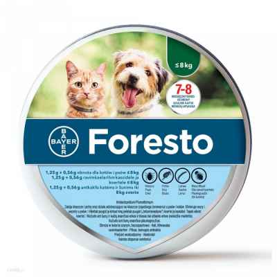 Foresto S , Форесто S