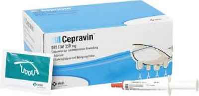 Cepravin Dry Cow