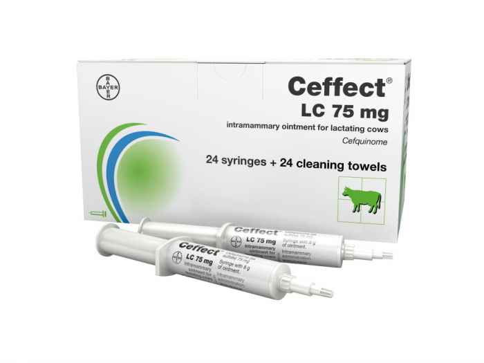 Ceffect, Цефект-zrNTK.jpg